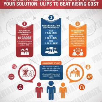 Infographic Illustration infographic iIllustration